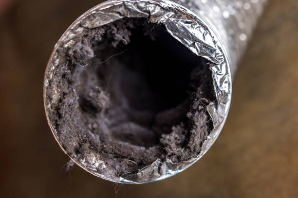 Best Emergency Air Duct Cleaning  in Christiana, TN
