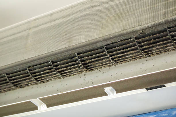 Best Residential Air Duct Cleaning  in Christiana, TN